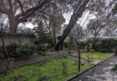 Chalet independiente con terreno en venta en la España, Ituero y Lama, ref: TR419277 foto