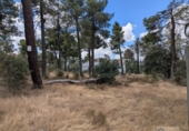 Chalet independiente con terreno en venta en la España, Marugán, ref: TR419283 foto