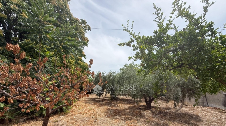 Alicante - La Romana - 2999.99m2