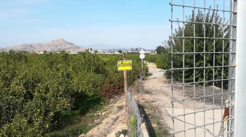 Murcia - Мурсия - 3600m2
