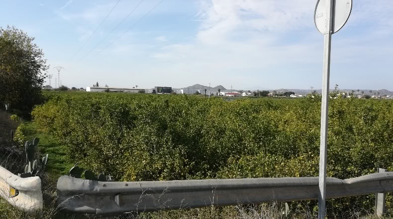 Murcia - Мурсия - 3600m2