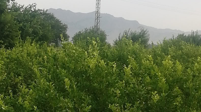Murcia - Мурсия - 3109m2