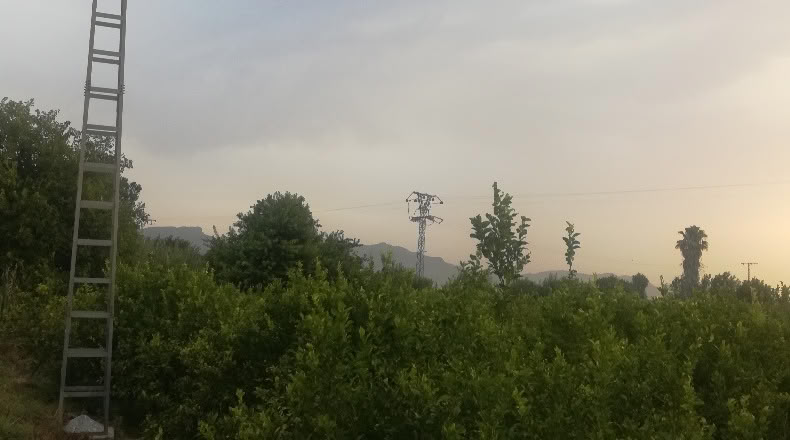 Murcia - Мурсия - 3109m2