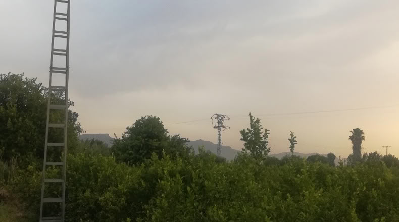 Murcia - Мурсия - 3109m2