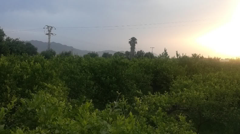 Murcia - Мурсия - 3109m2