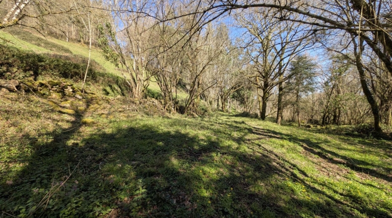Cantabria - Puente Viesgo - 7100m2