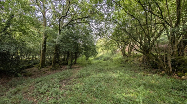 Cantabria - Puente Viesgo - 7100m2