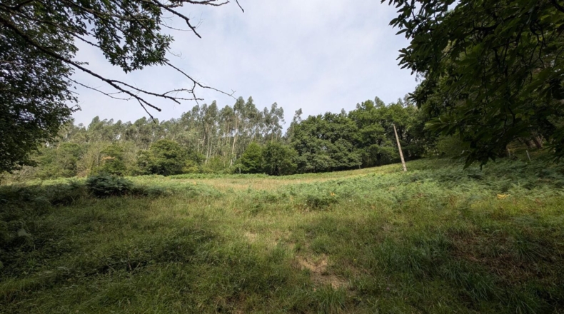 Cantabria - Puente Viesgo - 7100m2