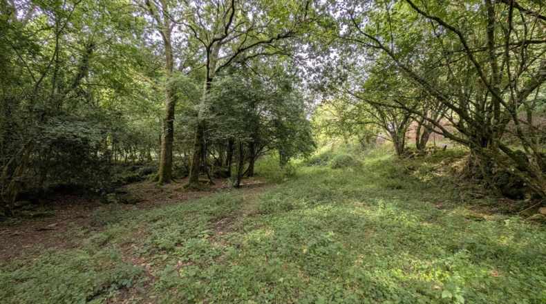 Cantabria - Puente Viesgo - 7100m2