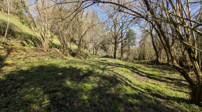 Cantabria - Puente Viesgo - 7100m2