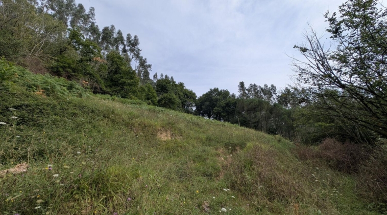Cantabria - Puente Viesgo - 7100m2