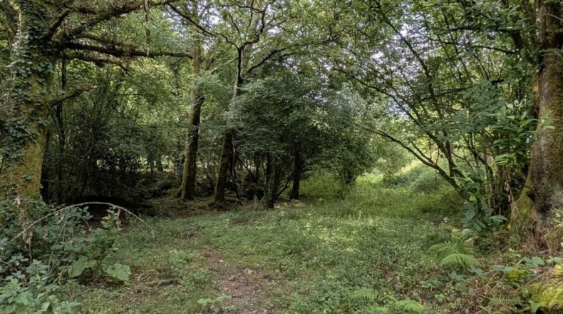 Cantabria - Puente Viesgo - 7100m2
