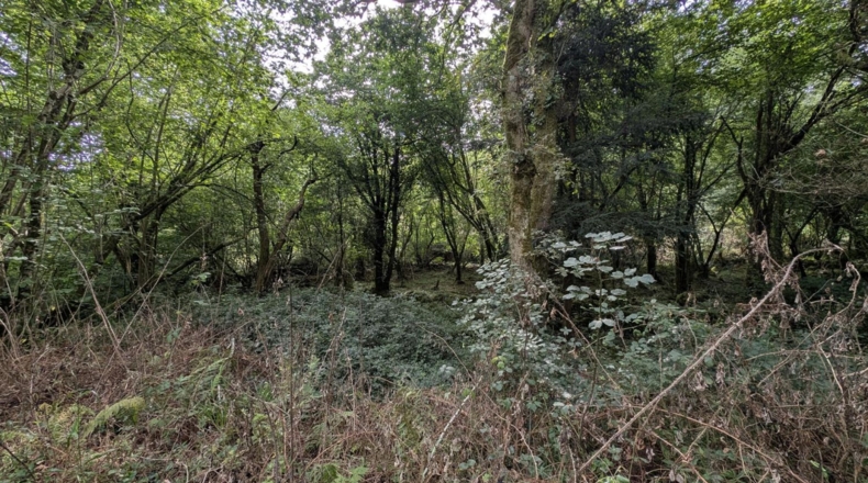 Cantabria - Puente Viesgo - 7100m2