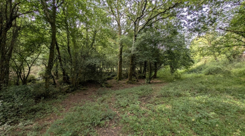 Cantabria - Puente Viesgo - 7100m2