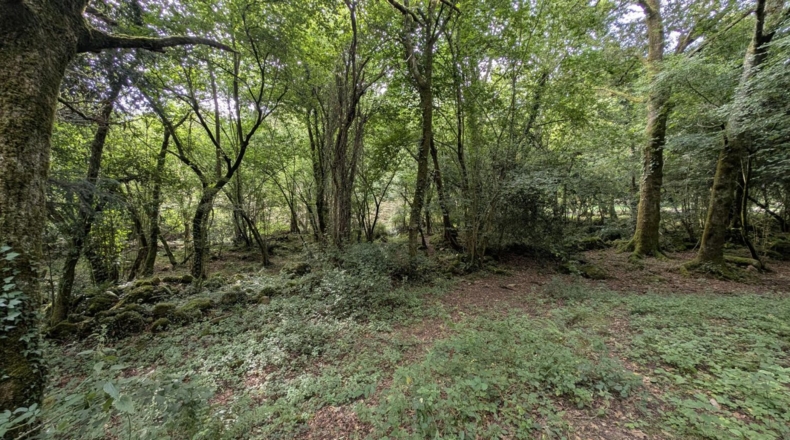 Cantabria - Puente Viesgo - 7100m2