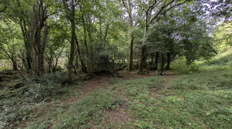 Cantabria - Puente Viesgo - 7100m2