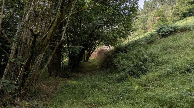 Cantabria - Puente Viesgo - 7100m2