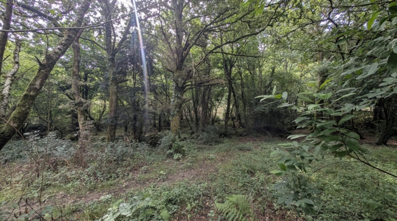 Cantabria - Puente Viesgo - 7100m2