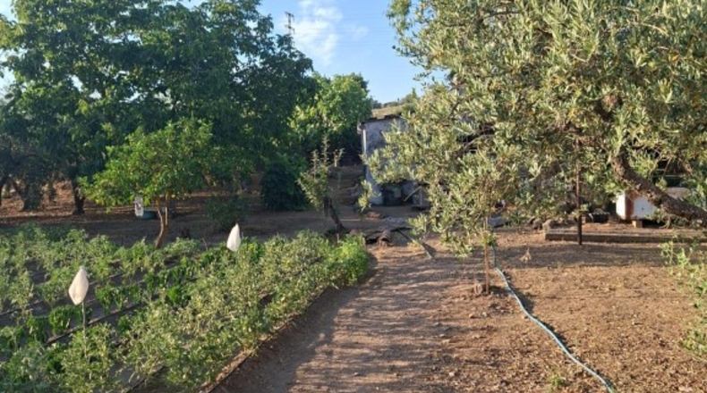 Sevilla - Guadalcanal - 81m2