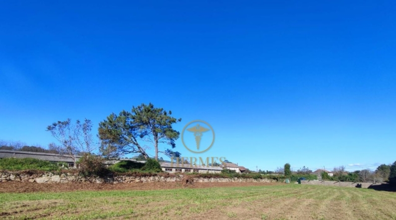 Pontevedra - Vilapouca - 1992m2