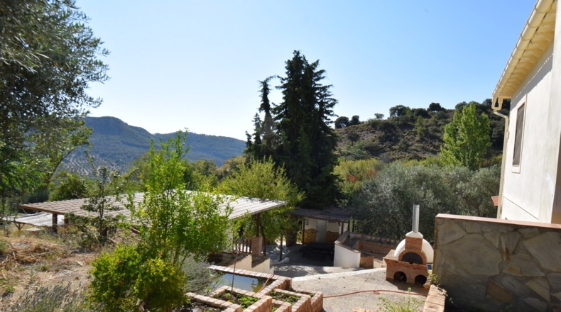 Granada - Íllora - 15362m2