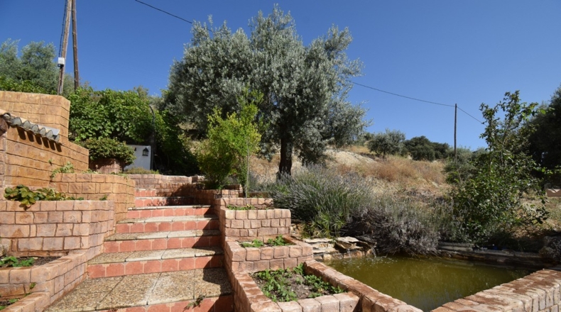 Granada - Íllora - 15362m2