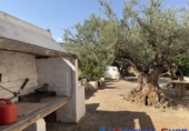 Chalet independiente con terreno en venta en Alcalá del Júcar ref: TR419304 foto