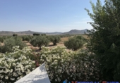 Chalet independiente con terreno en venta en Alcalá del Júcar ref: TR419304 foto