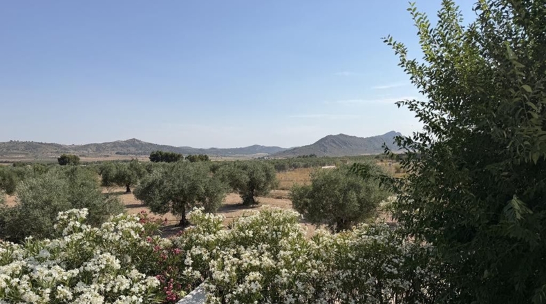 Albacete - Alcalá del Júcar - 7000m2