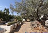 Chalet independiente con terreno en venta en Alcalá del Júcar ref: TR419304 foto