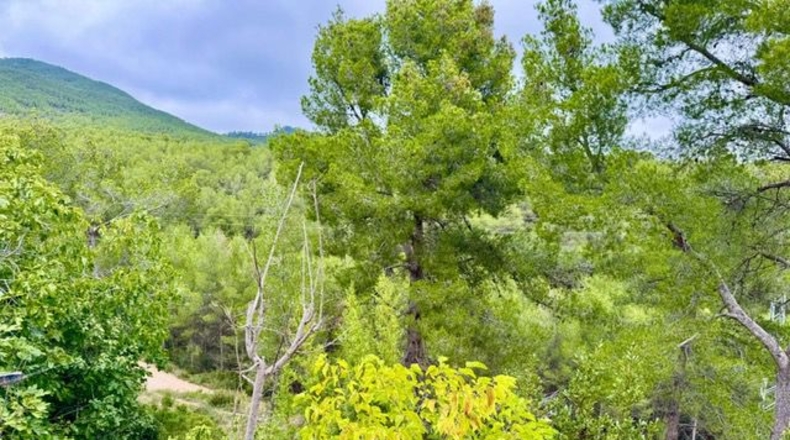 Barcelona - Torrelles de Foix - 998m2