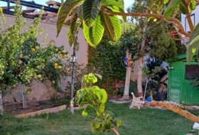 Foto 8