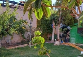 Xalet adossat amb terreny en venda a Valdepeñas ref.: TR183724 foto