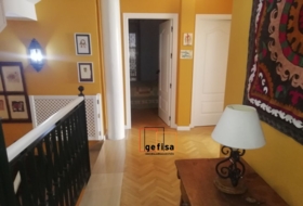 Foto 20