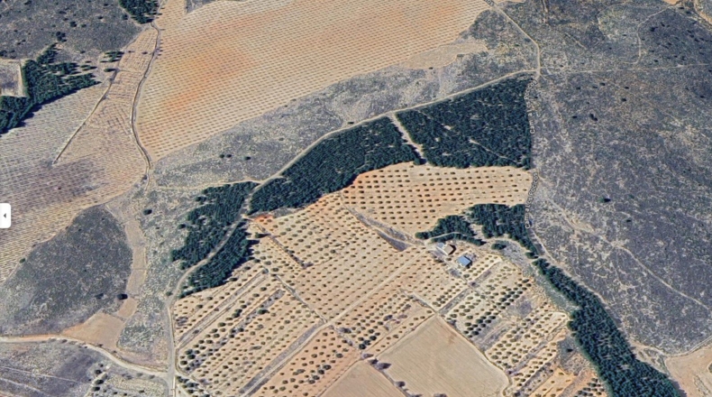 Albacete - Pozohondo - 35000m2