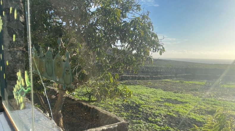 Las Palmas - Teguise - 3870m2