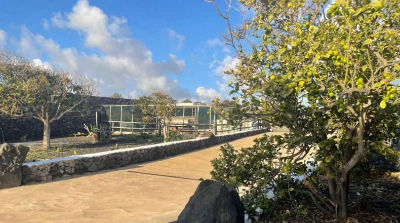 Las Palmas - Teguise - 3870m2