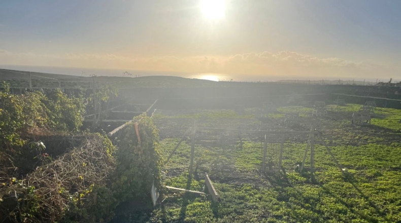 Las Palmas - Teguise - 3870m2