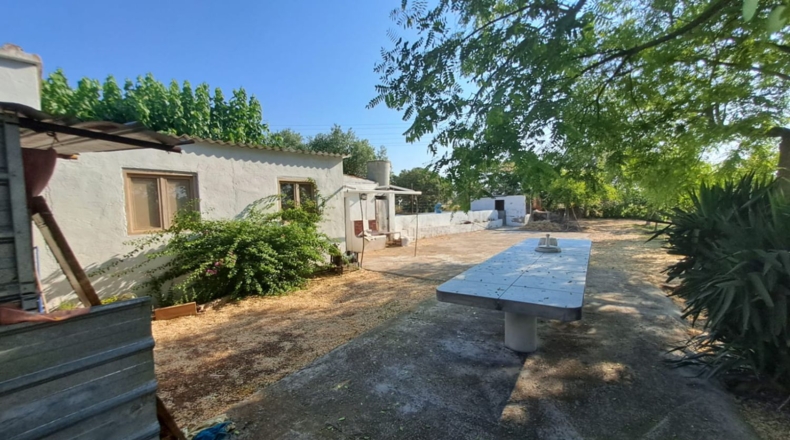 Tarragona - Constantí - 6098m2