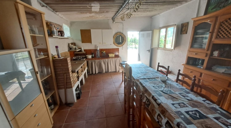 Tarragona - Constantí - 6098m2