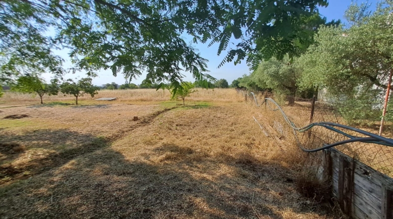 Tarragona - Constantí - 6098m2