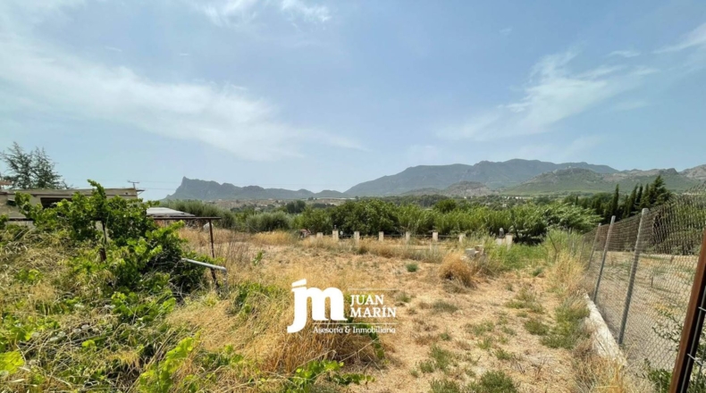 Murcia - Cieza - 2200m2