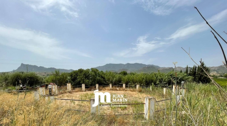 Murcia - Cieza - 2200m2