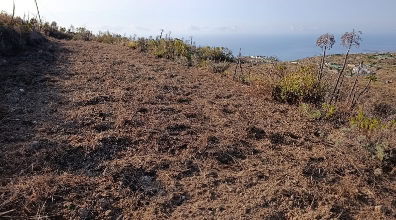 Santa Cruz de Tenerife - Fasnia - 3300m2