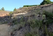 Terreno no urbanizable en venta en la Camino de los Apartaderos, Fasnia, ref: TR419340 foto