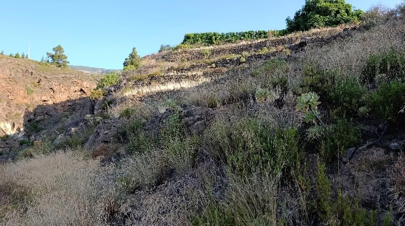 Santa Cruz de Tenerife - Fasnia - 3300m2
