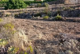 Fasnia 3300&nbsp;m²