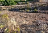 Terreno no urbanizable en venta en la Camino de los Apartaderos, Fasnia, ref: TR419340 foto