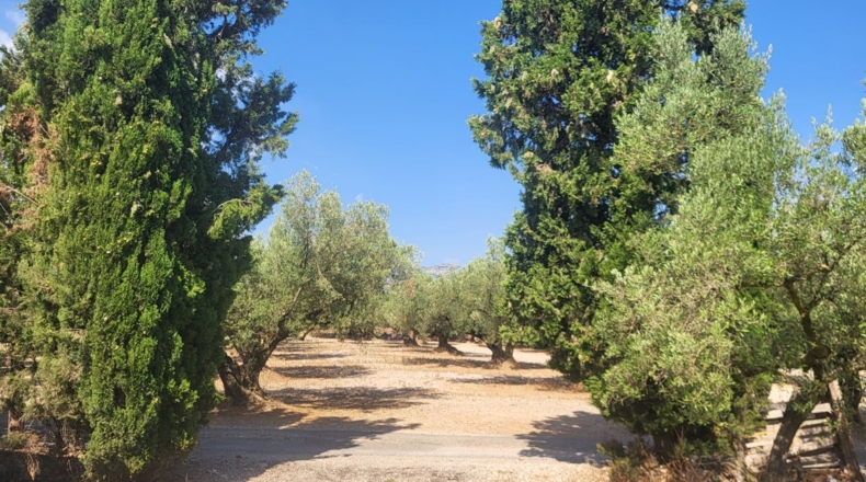 Tarragona - Mas de Barberans - 56000m2