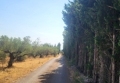Земельный участок на продажу в городе Mas de Barberans. Фото